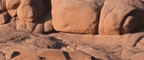 Watch a MM interview